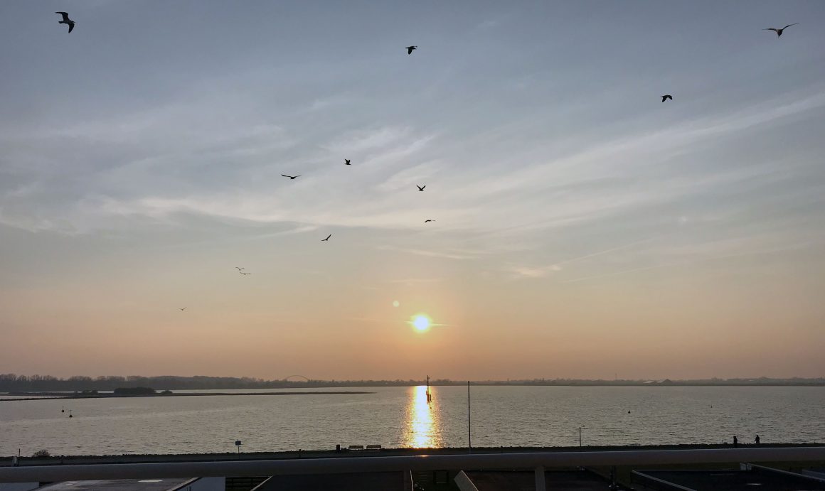 ferienwohnung-fehmarn-suedstrand-mieten-kaufen-balkon-seeblick-sonnenuntergang-moewen