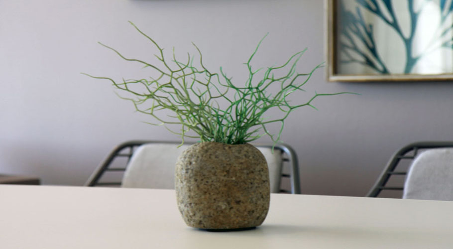 ferienwohnung-fehmarn-suedstrand-mieten-kaufen-wohnzimmer-vasemitblume